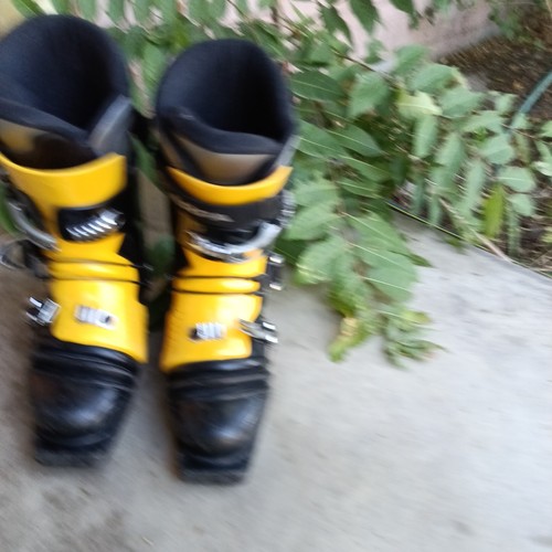 Scarpa telemark ski - scarpa, t1